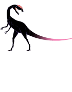 Looking at the Long Tail